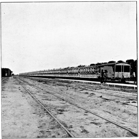 Cattle Train on Central Argentine Railway, bringing
Cattle to Barrancosa.