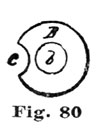 Fig. 80