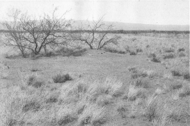 Plate V. Fig. 1.—Clearing About a Mound.