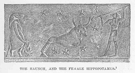 125.jpg the Haunch, and The Female Hippopotamus.1 
