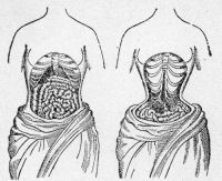 The natural waist & the effects of lacing.