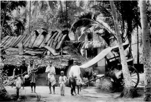 Country scene in Bombay