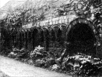 ruins of cloisters