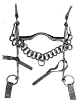 Curb bit with chin-strap unbuckled.