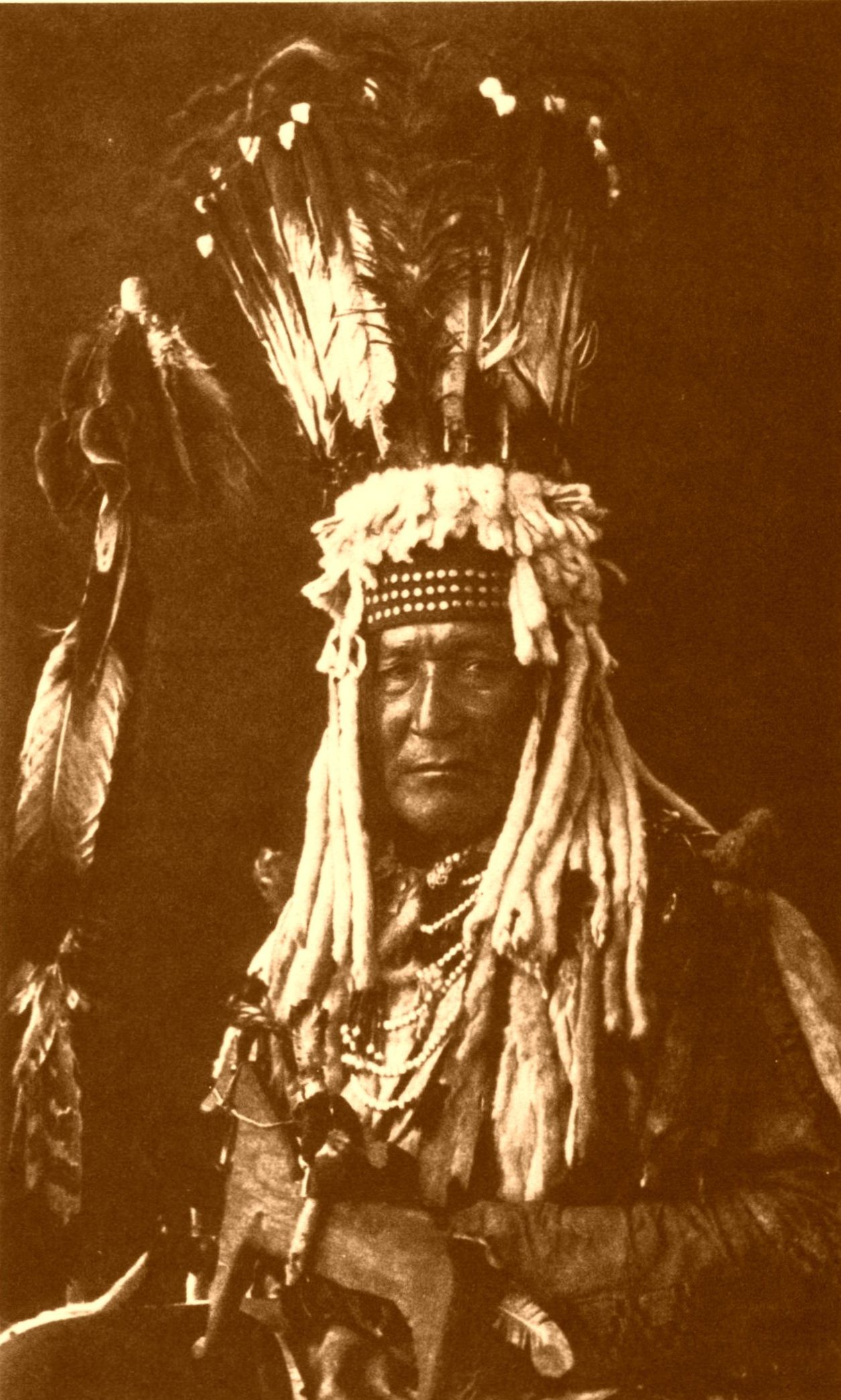 Mountain Chief