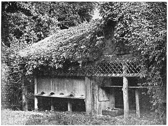 Ouderwetsche bijenwoning in Sussex