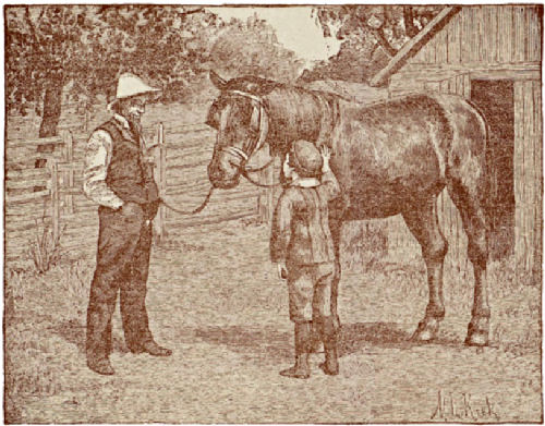 Joe, his uncle and the horse