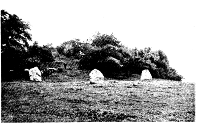 Prehistoric Tumulus at New Grange