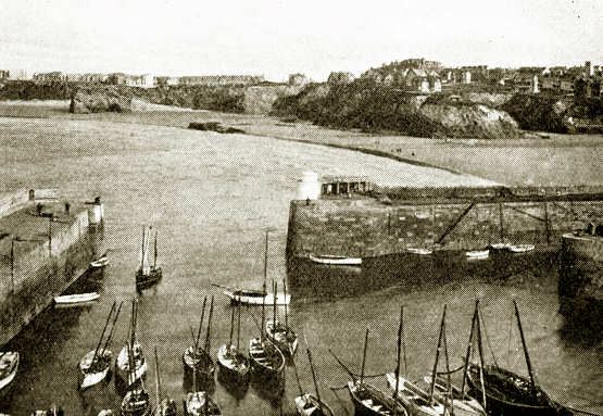 Newquay Harbour