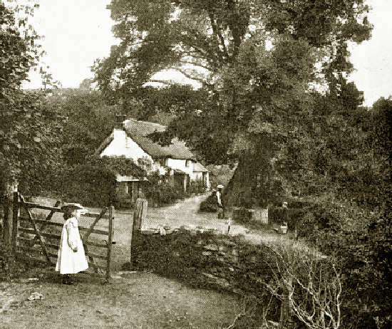 St Keyne's  Well, Liskeard