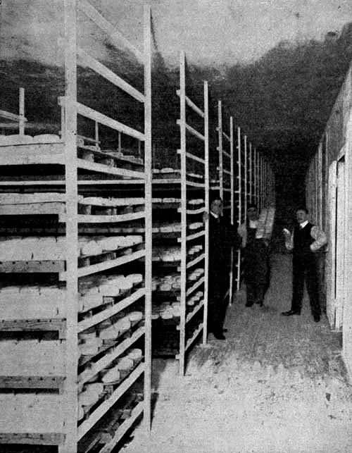 Halloir, the first ripening room.