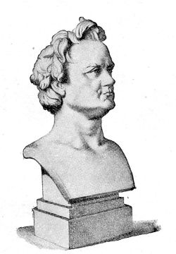 bust