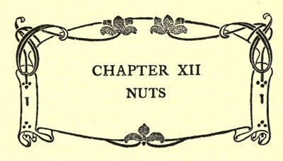 CHAPTER XII
NUTS